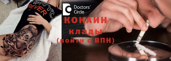 ПСИЛОЦИБИНОВЫЕ ГРИБЫ Арсеньев