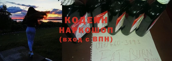 ПСИЛОЦИБИНОВЫЕ ГРИБЫ Арсеньев