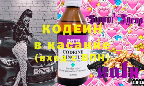 ПСИЛОЦИБИНОВЫЕ ГРИБЫ Арсеньев